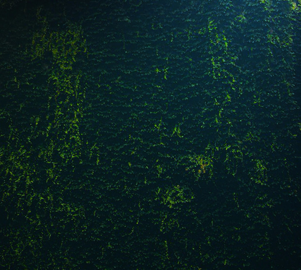 苔 國末知宏 さんのイラスト ニコニコ静画 イラスト