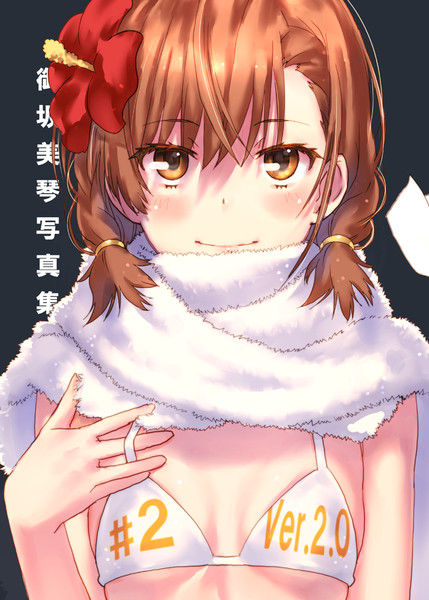 御坂美琴写真集 ２ver 2 0 Raika9 さんのイラスト ニコニコ静画 イラスト