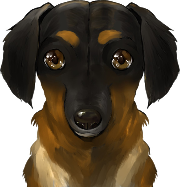 フリー素材 Iq0 天才犬アッシュ 八神智大 さんのイラスト ニコニコ静画 イラスト