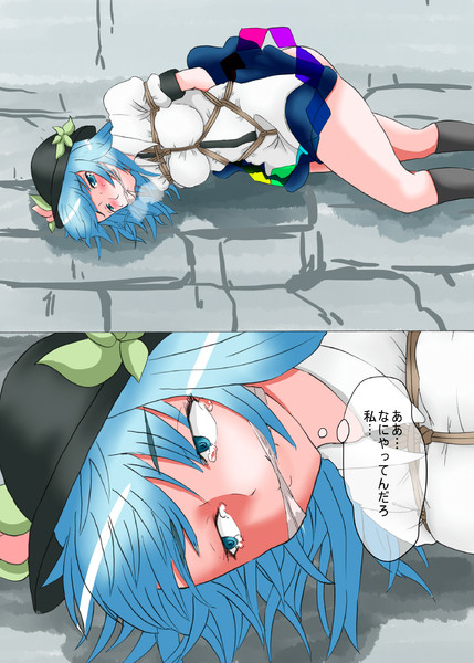かまってちゃん Nicosub静画