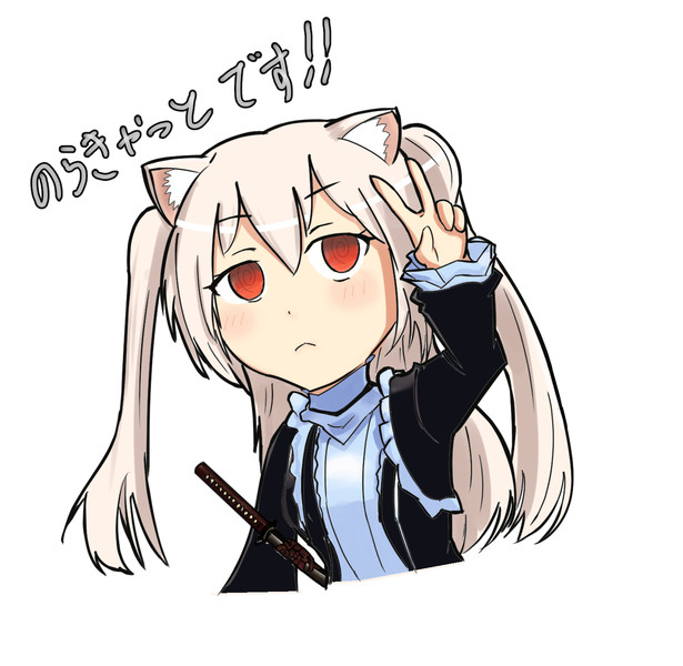 のらきゃっとです！