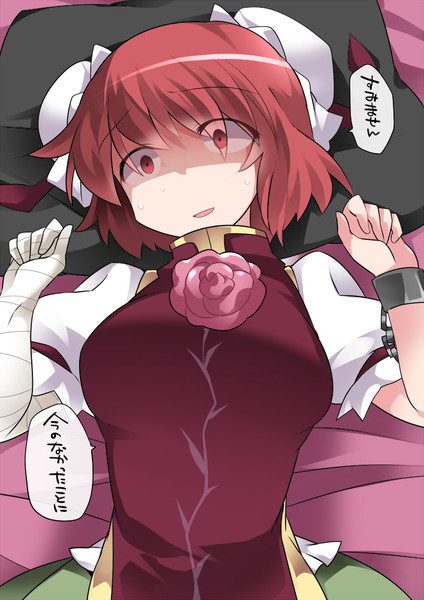 華扇ちゃんの洗脳を解く ハマー さんのイラスト ニコニコ静画 イラスト