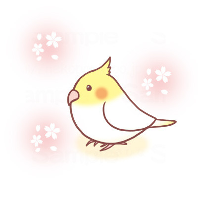 オカメインコ みつきひな さんのイラスト ニコニコ静画 イラスト