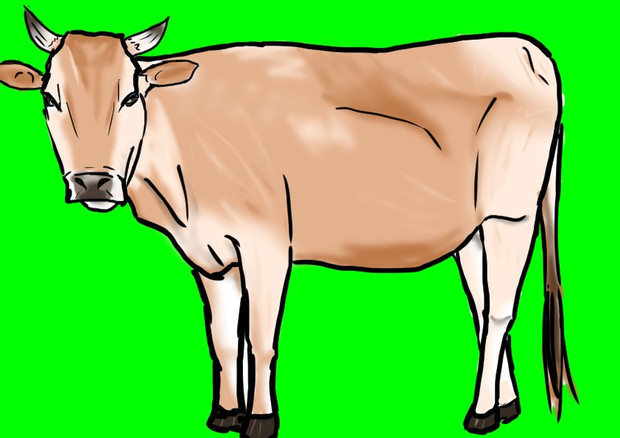 褐毛和牛 Gb 銀丙衛gk さんのイラスト ニコニコ静画 イラスト