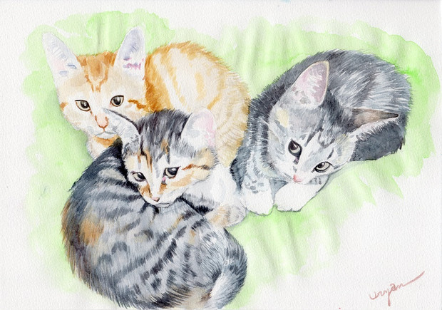 オリジナル 手描き きょうだい猫 ねこのこども2 イラスト ポストカード 子猫 水彩画 猫 複製 赤ちゃん猫 保証書付 イラスト