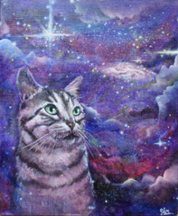 宇宙猫とは ウチュウネコとは 単語記事 ニコニコ大百科