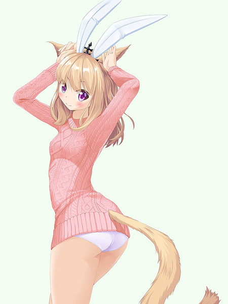 ミコッテ つぶあん さんのイラスト ニコニコ静画 イラスト