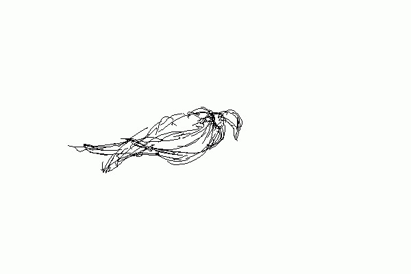 鳥アニメ集 セーガン さんのイラスト ニコニコ静画 イラスト