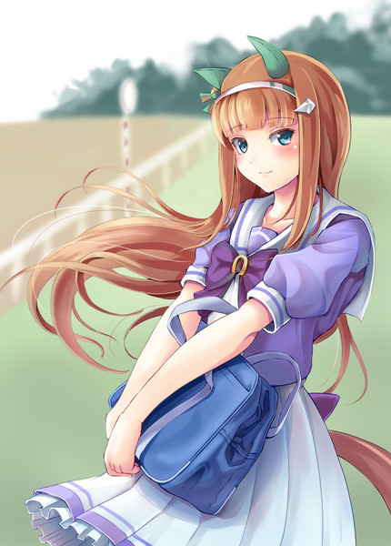 サイレンススズカ(ウマ娘)とは (サイレンススズカとは) [単語