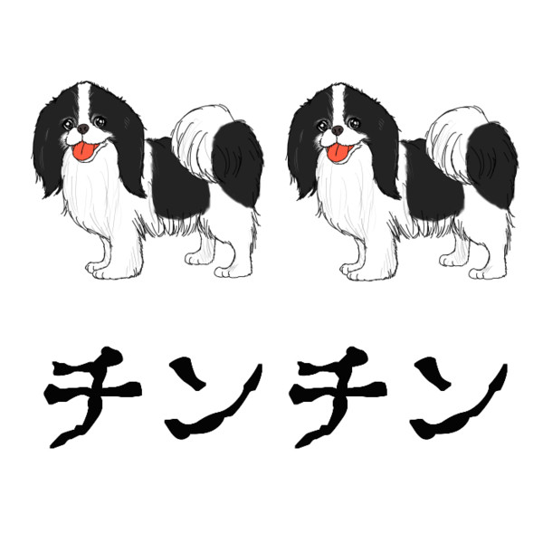 「チン」という犬種がありましてね…