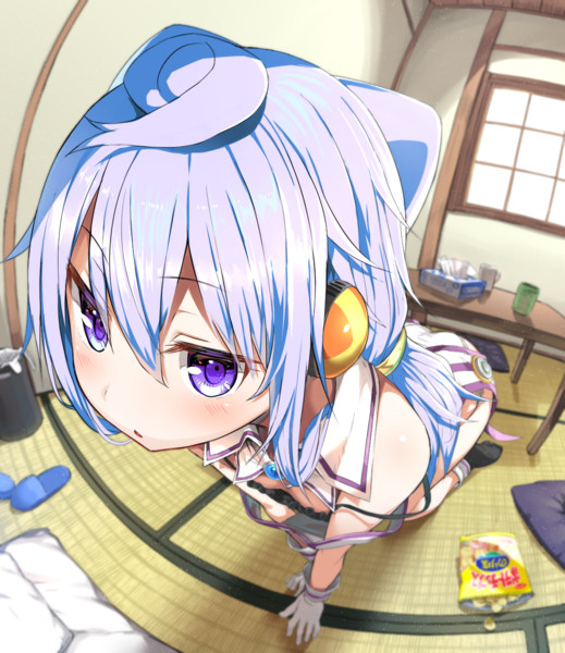 美しい花の画像 無料ダウンロードイラスト 魚眼レンズ
