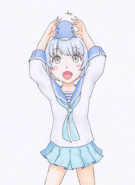 B Nicosub静画
