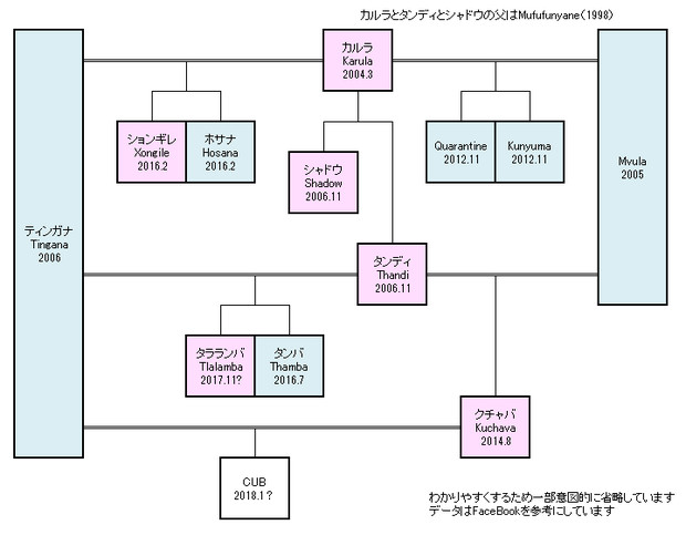 がおーっ ヒョウの家系図 簡易版 サファリライブ 想 さんのイラスト ニコニコ静画 イラスト