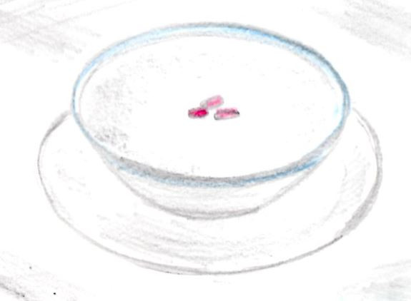 杏仁豆腐 狐火 さんのイラスト ニコニコ静画 イラスト