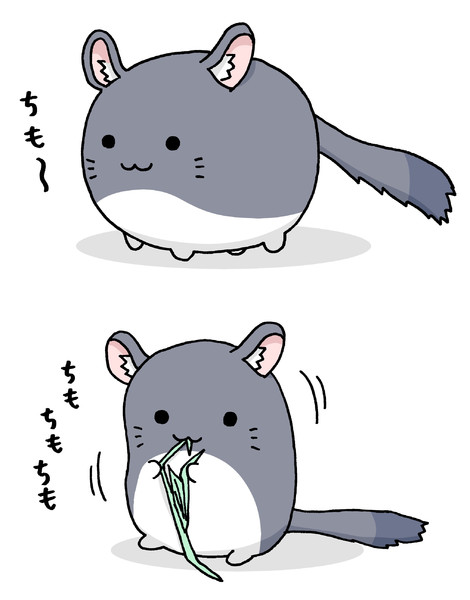 画像をダウンロード チンチラ イラスト チンチラ イラスト 無料 Cahkonojpegso