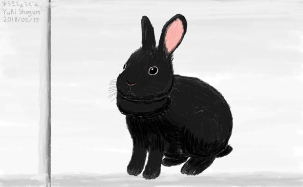 黒いうさぎ Black Rabbit ゆうきしょうぐん ニコニコ休止 さんのイラスト ニコニコ静画 イラスト