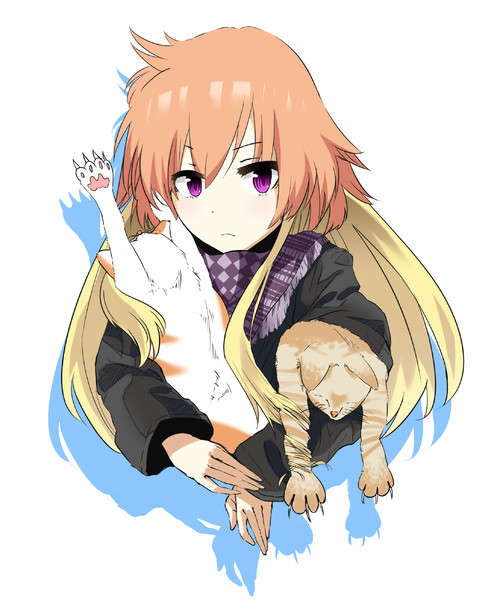 猫を持ち歩く二宮飛鳥 えいはぶ さんのイラスト ニコニコ静画 イラスト