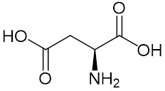 アスパラギン酸
