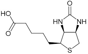 ビオチン
