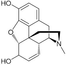 モルヒネ