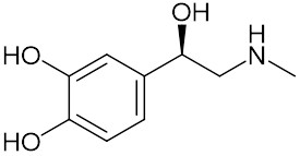 アドレナリンとは アドレナリンとは 単語記事 ニコニコ大百科