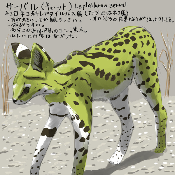 どうぶつ図鑑 サーバル キャット 野生の伊勢丹 さんのイラスト ニコニコ静画 イラスト