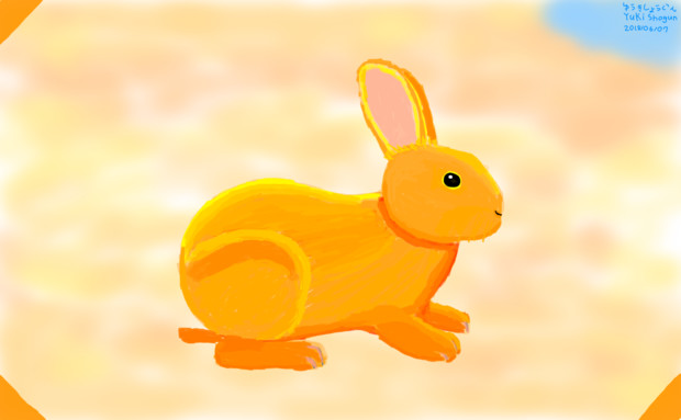オレンジ色のうさぎ　Orange Rabbit