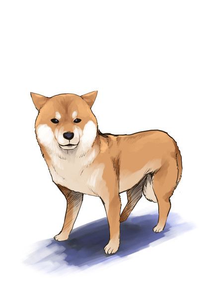 メンタルの強い柴犬 あーる さんのイラスト ニコニコ静画 イラスト