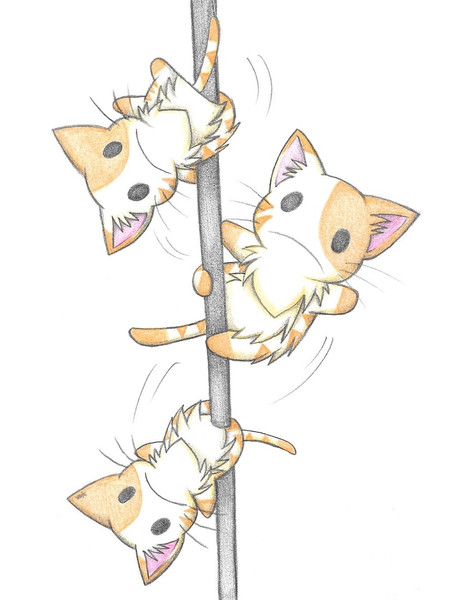 ポールダンサーにゃんこ わにねこwithくまこ さんのイラスト ニコニコ静画 イラスト