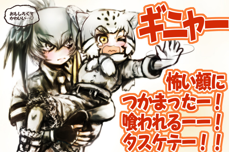 マヌルネコ けものフレンズ Nicosub静画