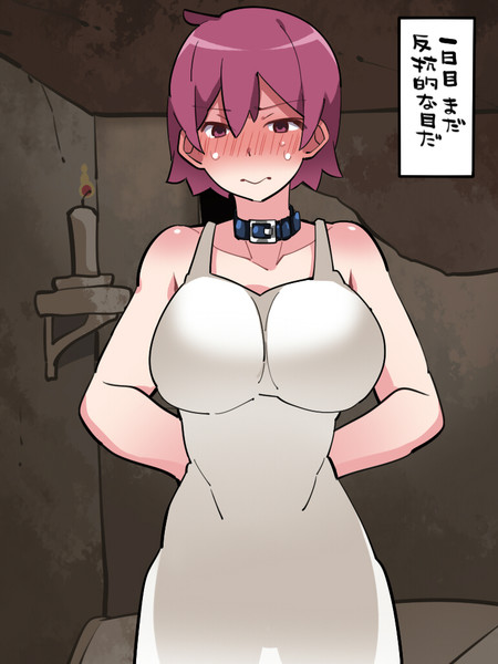 人妻　快楽奴隷 