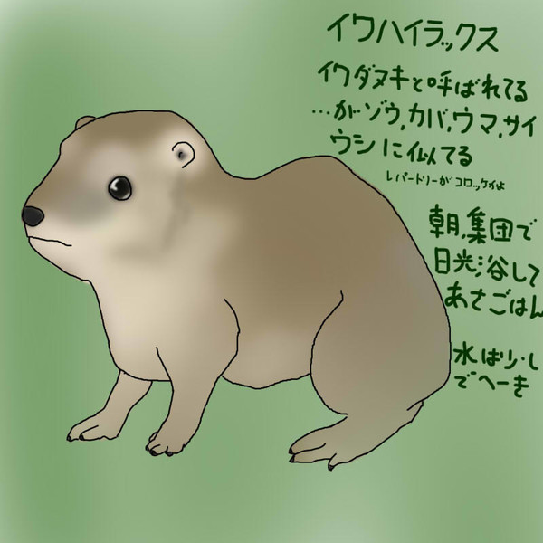 どうぶつ図鑑 イワハイラックス 飴猫亭大吉 さんのイラスト ニコニコ静画 イラスト