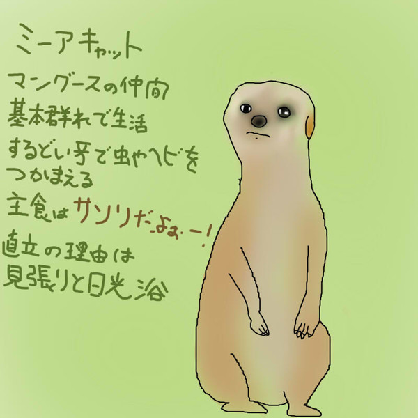 どうぶつ図鑑 ミーアキャット 飴猫亭大吉 さんのイラスト ニコニコ静画 イラスト