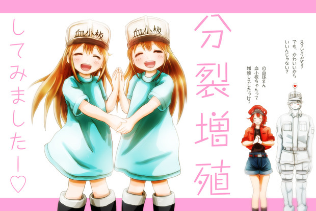 血小板ちゃんがふたり すち ルチタン さんのイラスト ニコニコ静画 イラスト