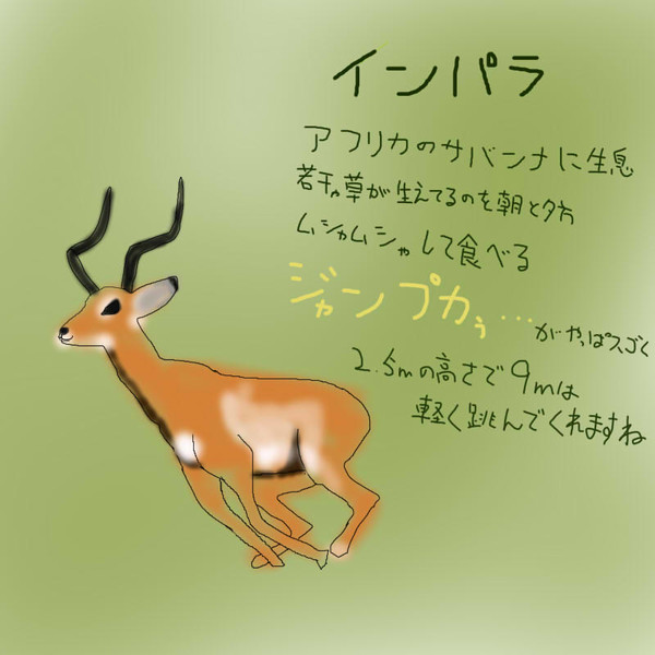 どうぶつ図鑑 インパラ 飴猫亭大吉 さんのイラスト ニコニコ静画 イラスト