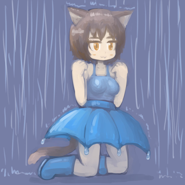 雨猫