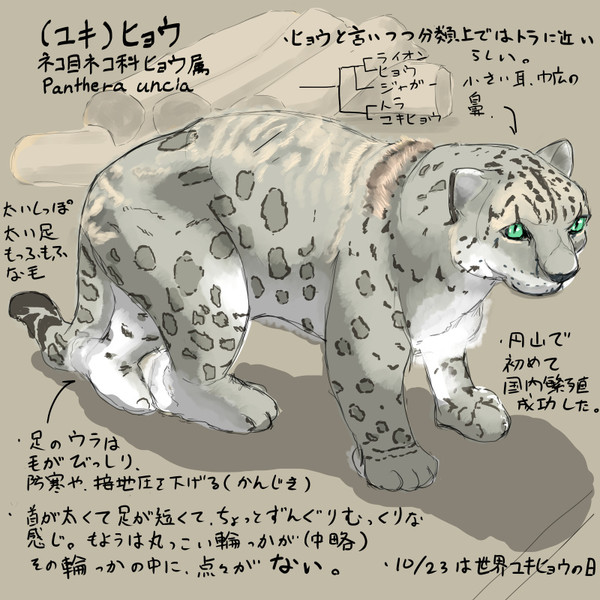 どうぶつ図鑑 ユキヒョウ 野生の伊勢丹 さんのイラスト ニコニコ静画 イラスト