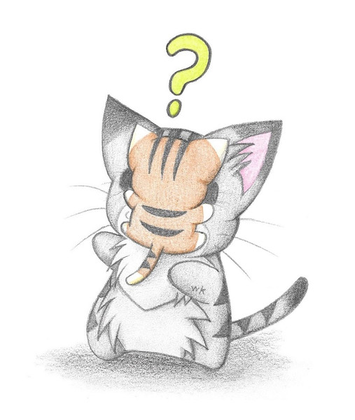 顔にひっつくにゃんこ わにねこwithくまこ さんのイラスト ニコニコ静画 イラスト
