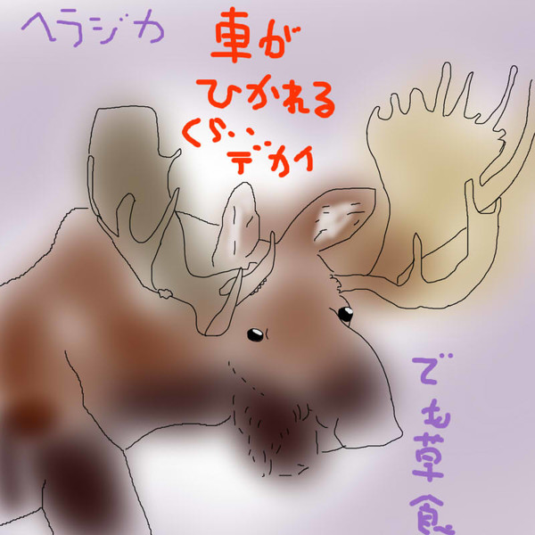 どうぶつ図鑑 ヘラジカ 飴猫亭大吉 さんのイラスト ニコニコ静画 イラスト