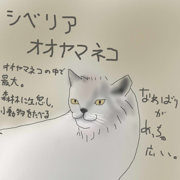 どうぶつ図鑑 シベリアオオヤマネコ 飴猫亭大吉 さんのイラスト ニコニコ静画 イラスト