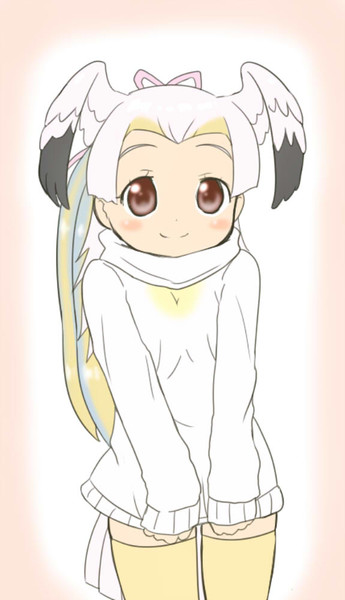 モモイロペリカンちゃん