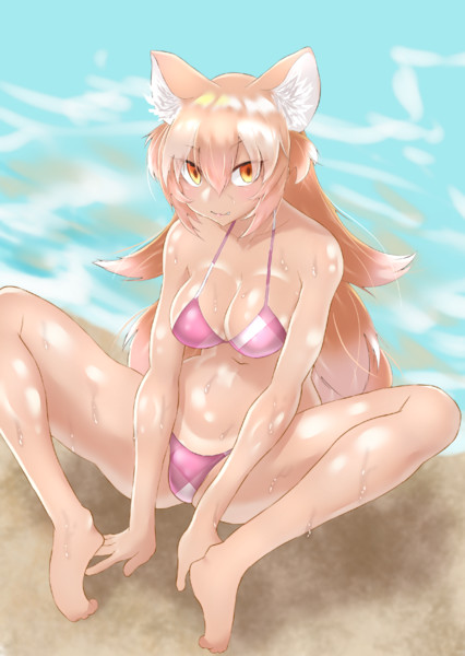 水着ニホンオオカミちゃん