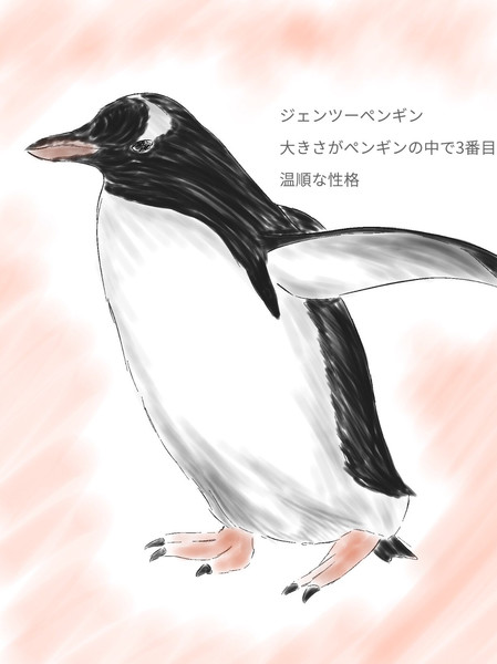 ジェンツーペンギン としみや さんのイラスト ニコニコ静画 イラスト