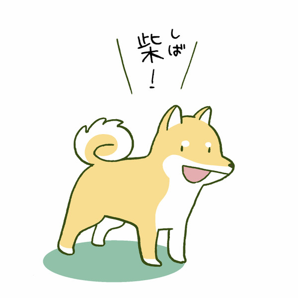 柴犬