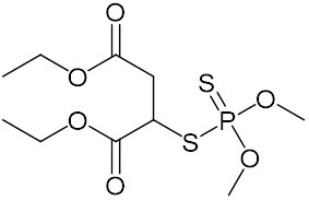 マラチオン / ことり さんのイラスト ニコニコ静画 (イラスト)