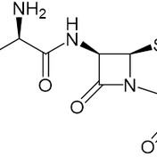 ペニシリン系ペニシリン系