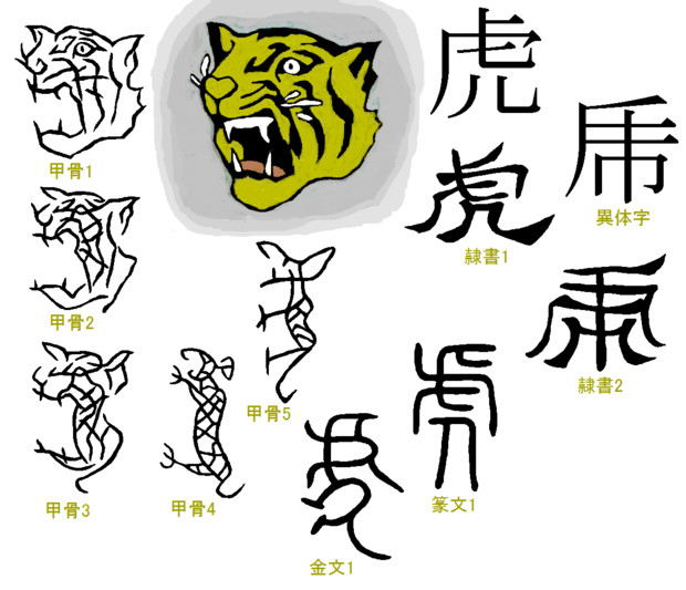 漢字の成り立ち「虎」