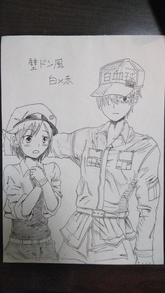 壁ドン風 堀田瞳 さんのイラスト ニコニコ静画 イラスト