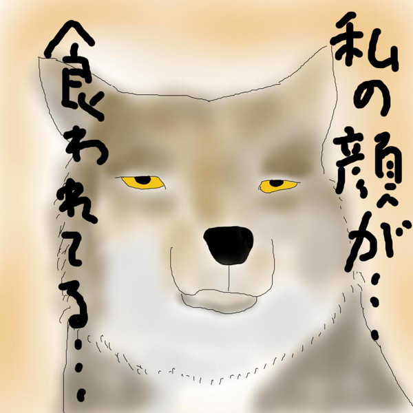 どうぶつ図鑑 チベットスナギツネ 飴猫亭大吉 さんのイラスト ニコニコ静画 イラスト