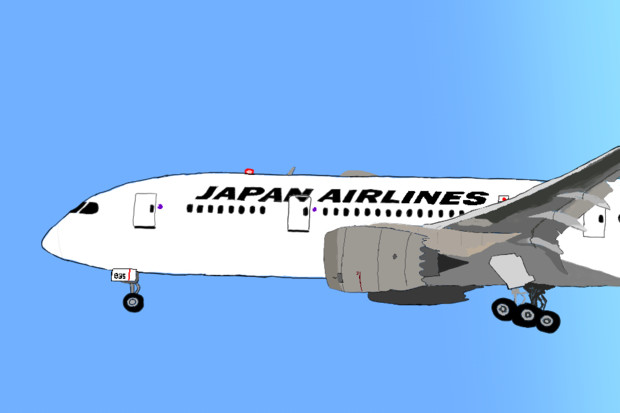 JAL B787-8 Dreamliner